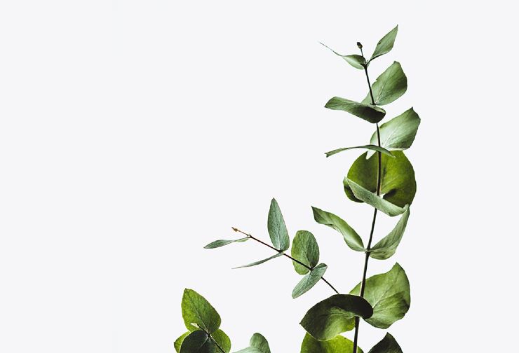 huella_co2.jpg