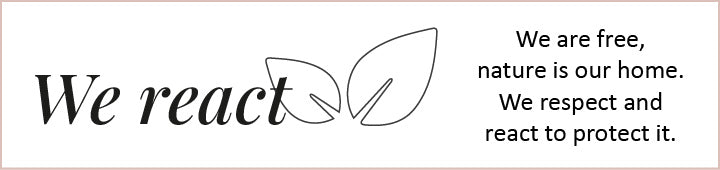 we_react_banner_278bd5c0-076c-4d6f-aea5-31075ca47f34.jpg